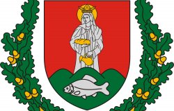 2019-es önkormányzati választás jelöltjei
